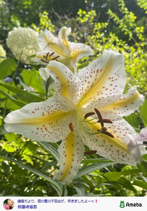 出所：假屋崎省吾のAmebaブログ 参照日：2025年8月1日