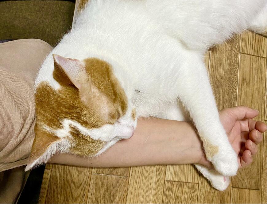 出所：@luna7taka9