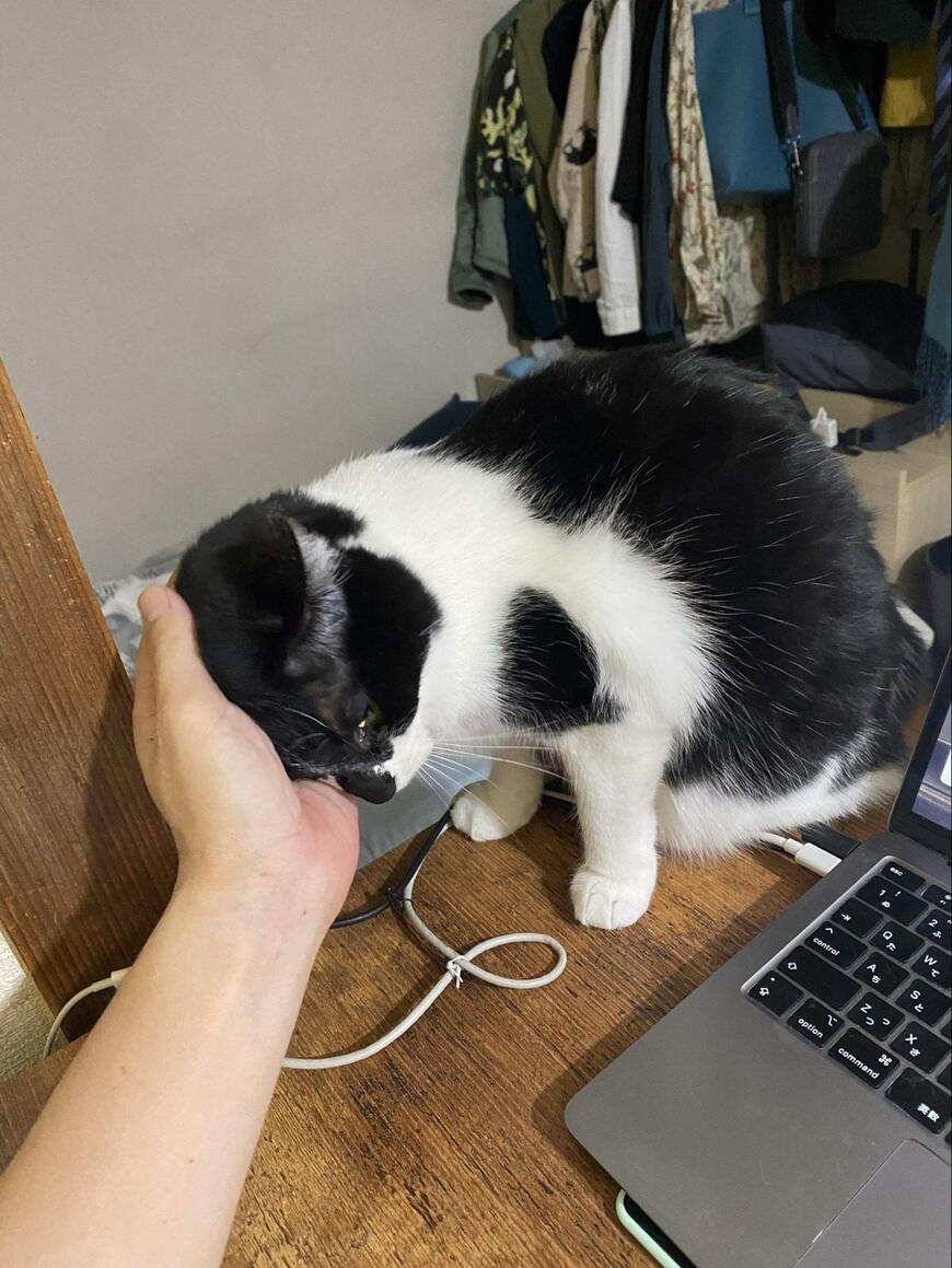 出所：@00shitemita