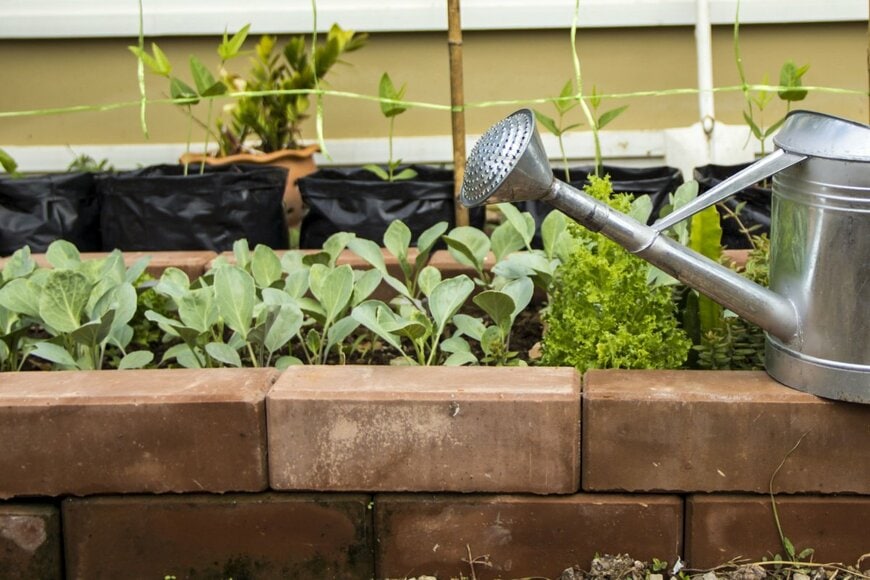 Ton Bangkeaw/shutterstock.com