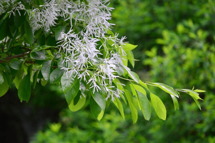 mssy/istockphoto.com