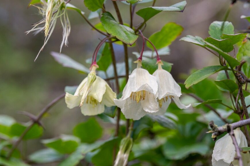Barbara Gabay/istockhphoto.com