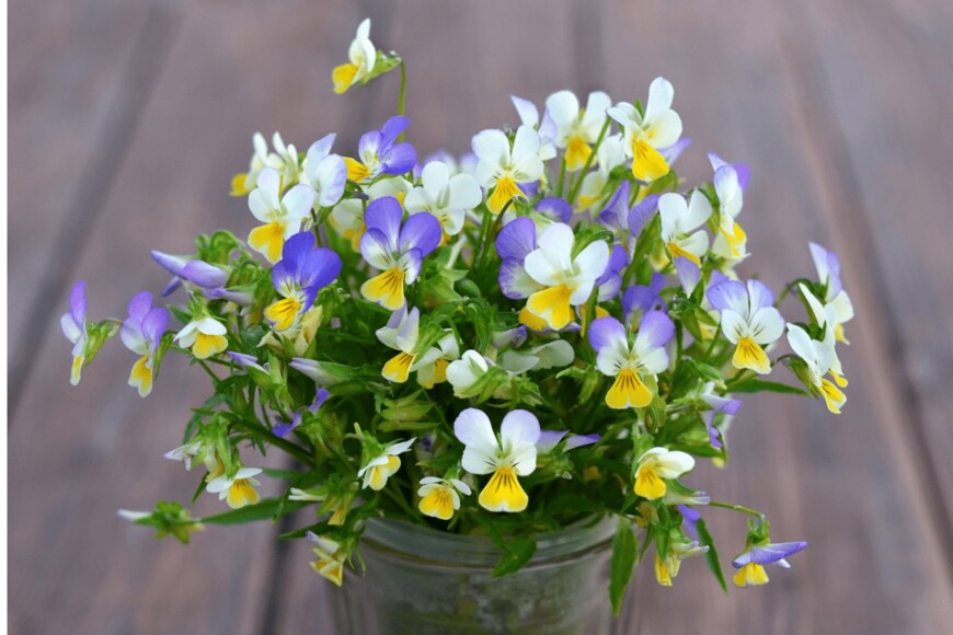 Yuliia Bilousova/istockphoto.com