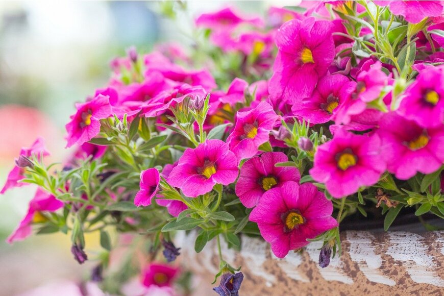 JIAN YI LIU/istockphoto.com