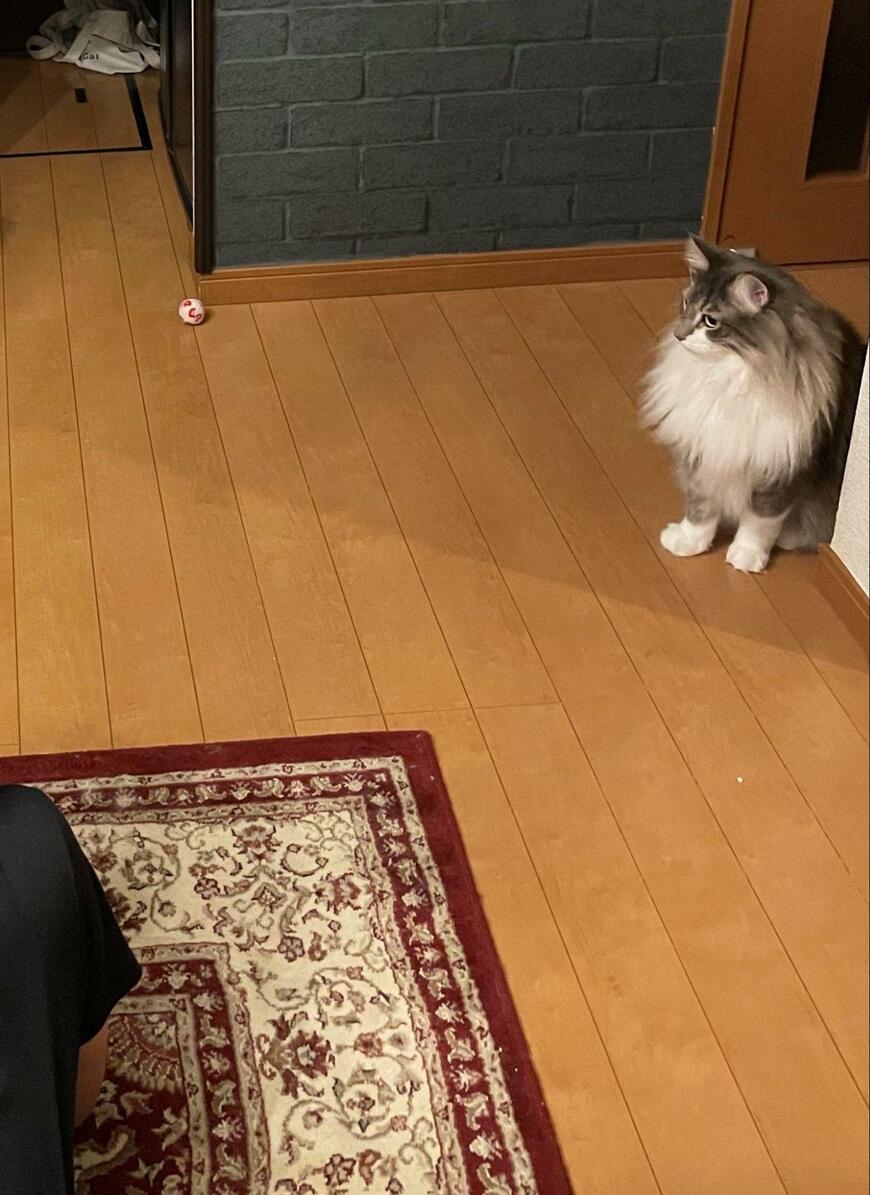 出所：@NEKOLAND13