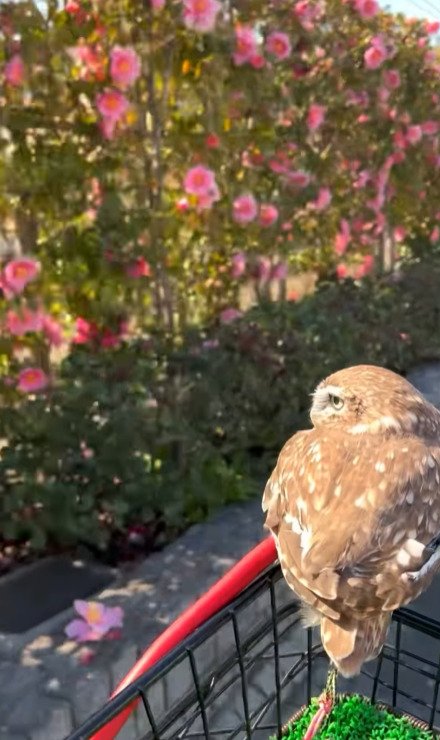 出所：@cr8673.hiro