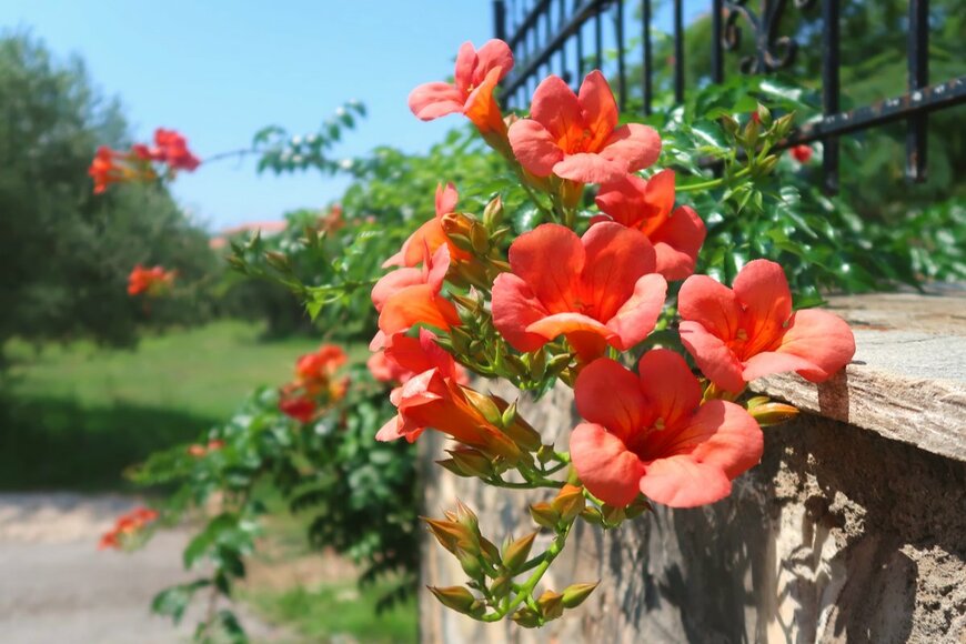 springtime78/Shutterstock.com