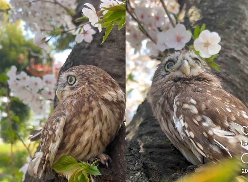 出所：@cr8673.hiro