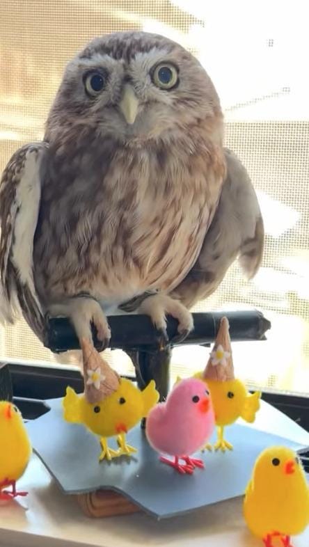 出所：@cr8673.hiro