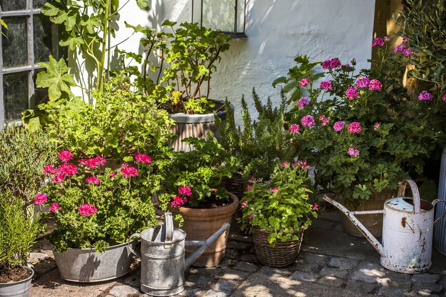 Per Wadskjaer/Shutterstock.com