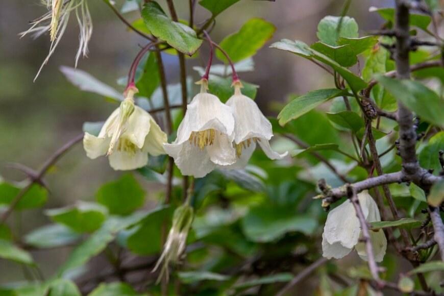 Barbarajo/shutterstock.com