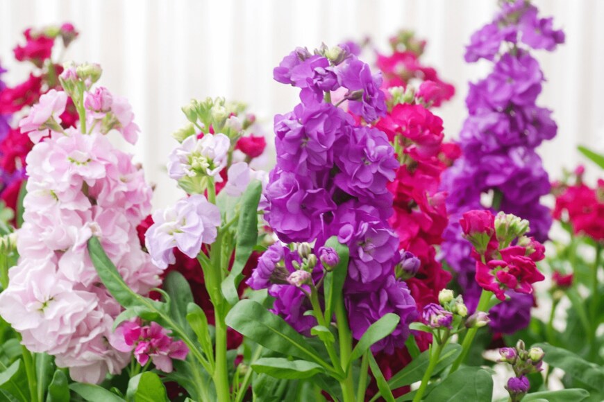 Pinrath Phanpradith/istockphoto.com