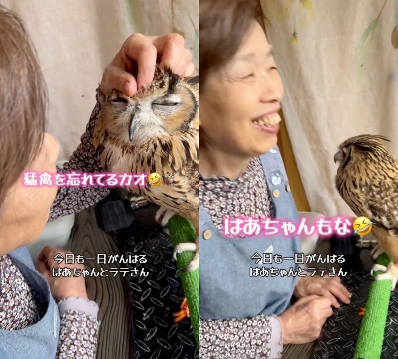 出所：@ba_chantolatte