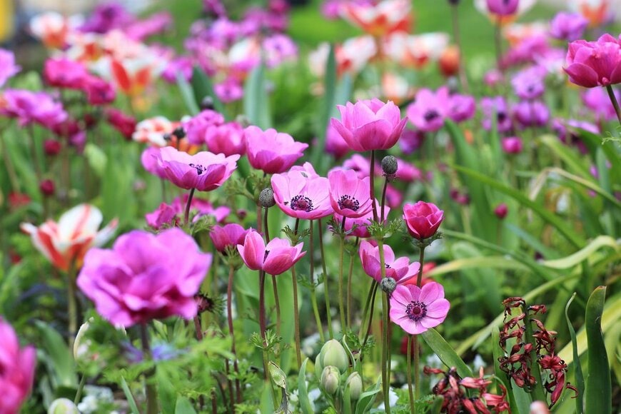 Ketrin_Ti/Shutterstock.com