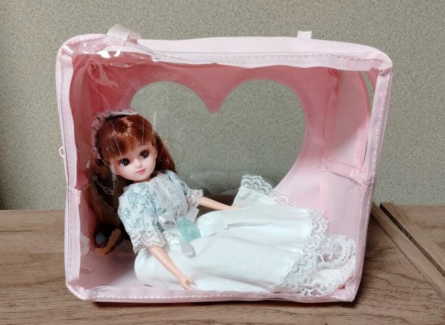 筆者撮影（セリア、ヲタコレ ぬいぐるみバッグ Lサイズ）