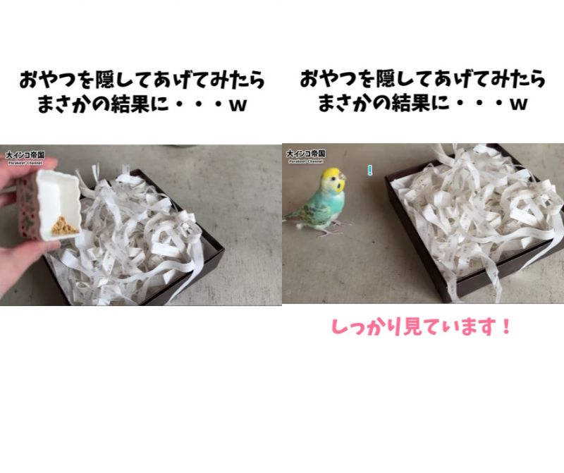 出所：＠daiinkoteikoku_soraoto