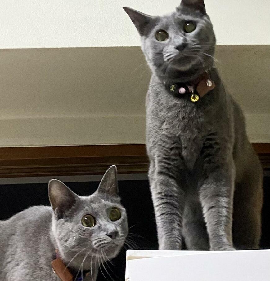 出所：@luna7taka9