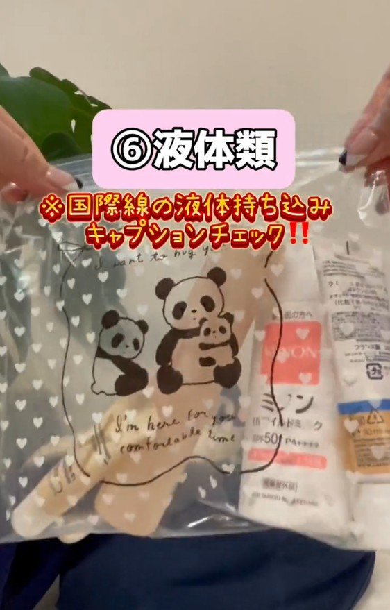 液体類を入れる袋