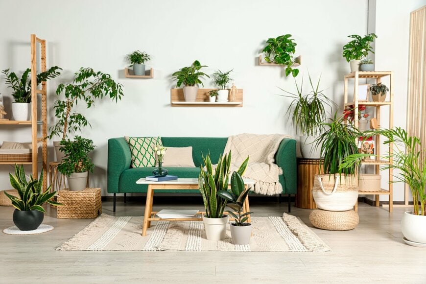 写真 | 【観葉植物】部屋ごとに選ぶ!おすすめインテリアグリーンとオシャレな飾り方を紹介 観葉植物を飾るときのコツと、部屋ごとのポイントが ...