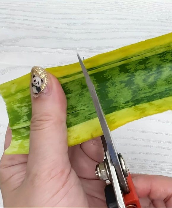 サンセベリアの葉挿し　葉をハサミで切る