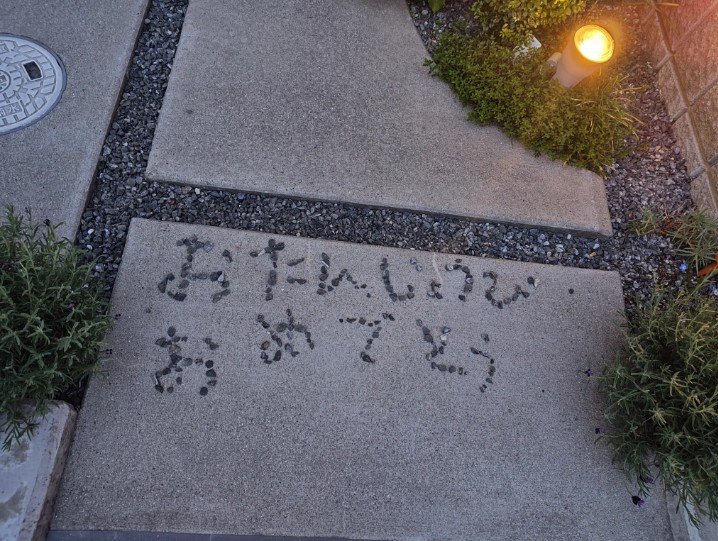投稿の画像
