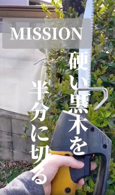 電動のこぎりで伐採！