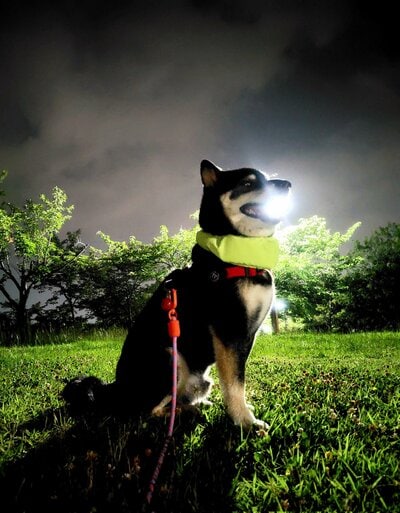 「はかいこうせんだ!」と投稿された写真