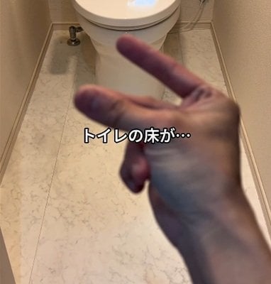 投稿の画像
