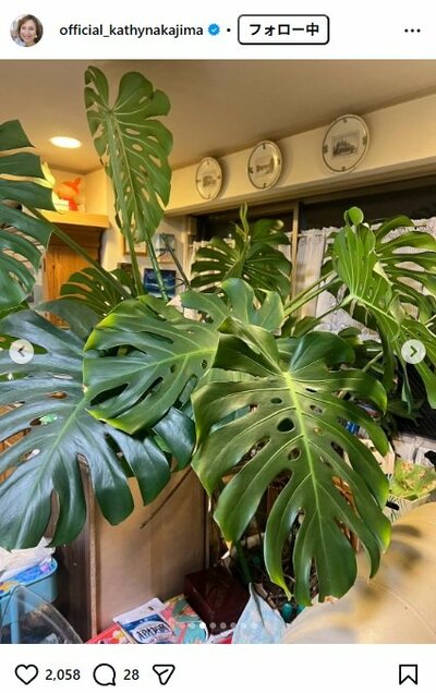 キャシー中島のInstagram投稿