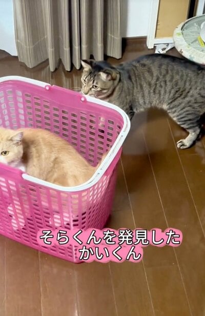 投稿の画像