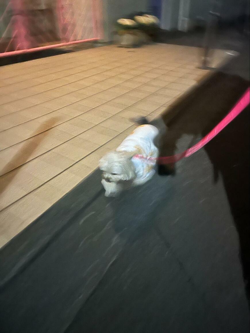 出所：@potage_0924