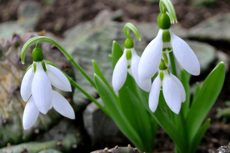 Real Moment/shutterstock.com