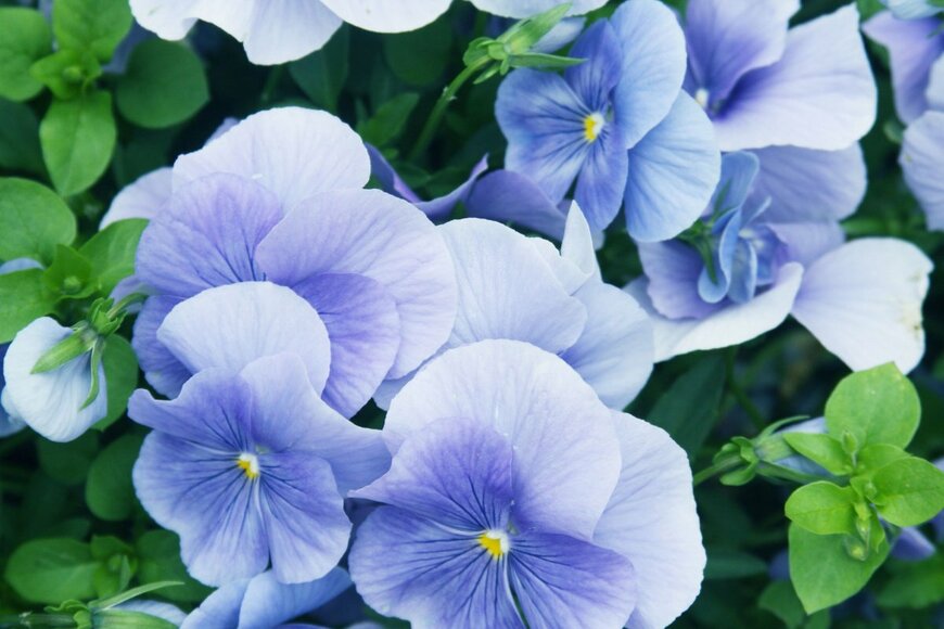 Juice Team/shutterstock.com