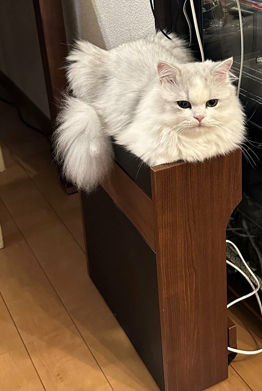 出所：@NEKOLAND13