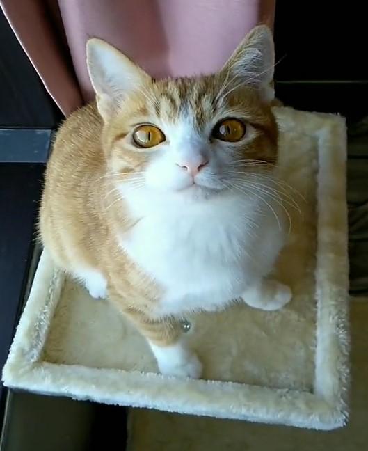 出所：@mero627puri914 