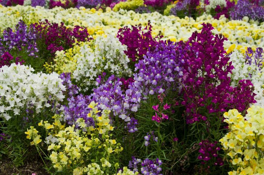 zzz555zzz/shutterstock.com