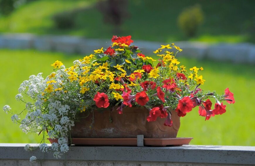 imageBROKER.com/shutterstock.com