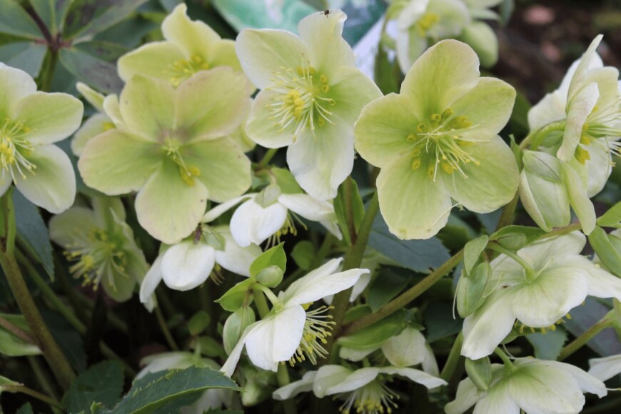 Tatiana Alex/istockphoto.com