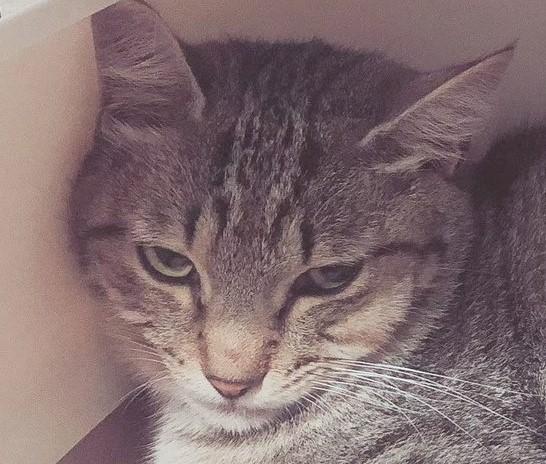 出所：@mero627puri914