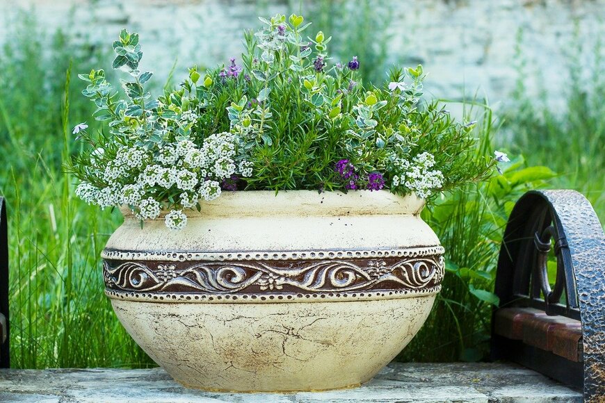 dmf87/istockphoto.com