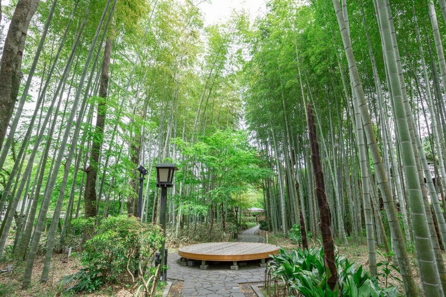 Faula Photo Works/shutterstock.com