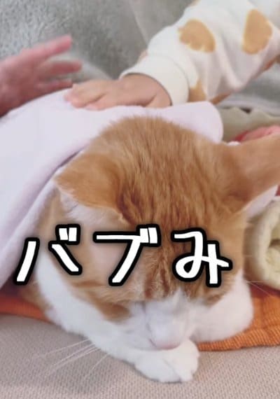 出所：@miko_nekoneko