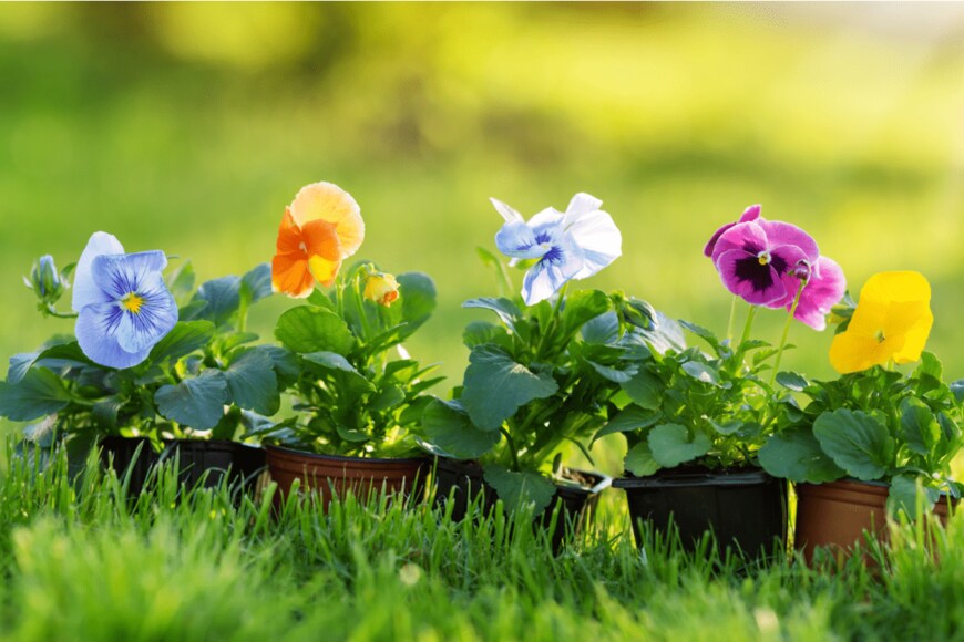 Yui Yuize/istockphoto.com