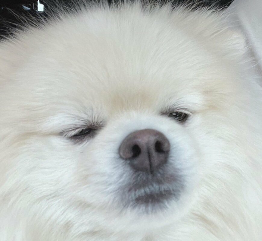 出所：@chikuwa78107742