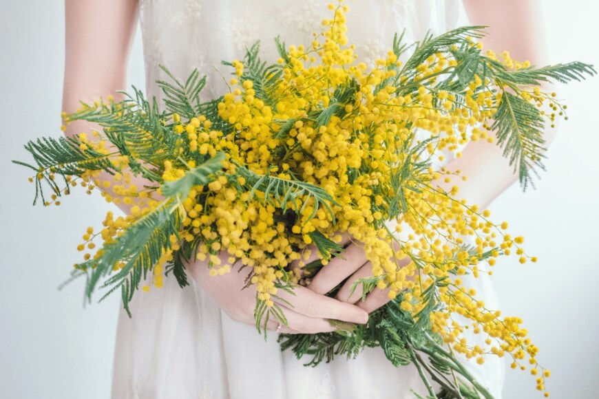 Sviatlana Barchan/istockphoto.com