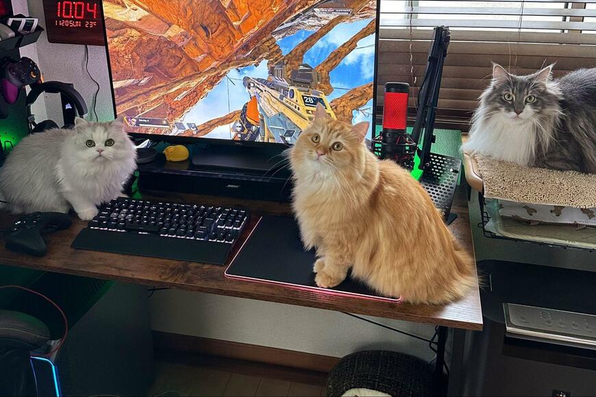 出所：@NEKOLAND13