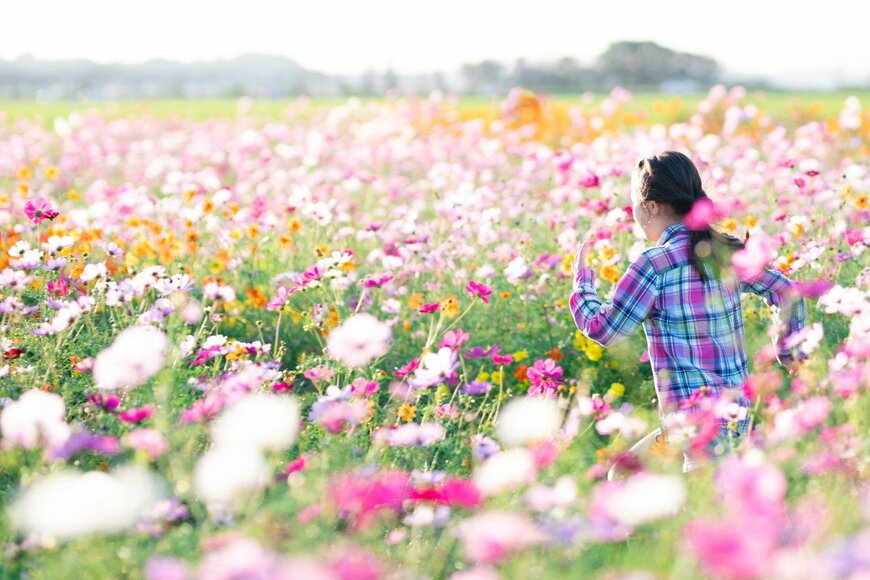 【年金】みんな「厚生年金と国民年金」を月平均いくら受給しているのかデータで検証