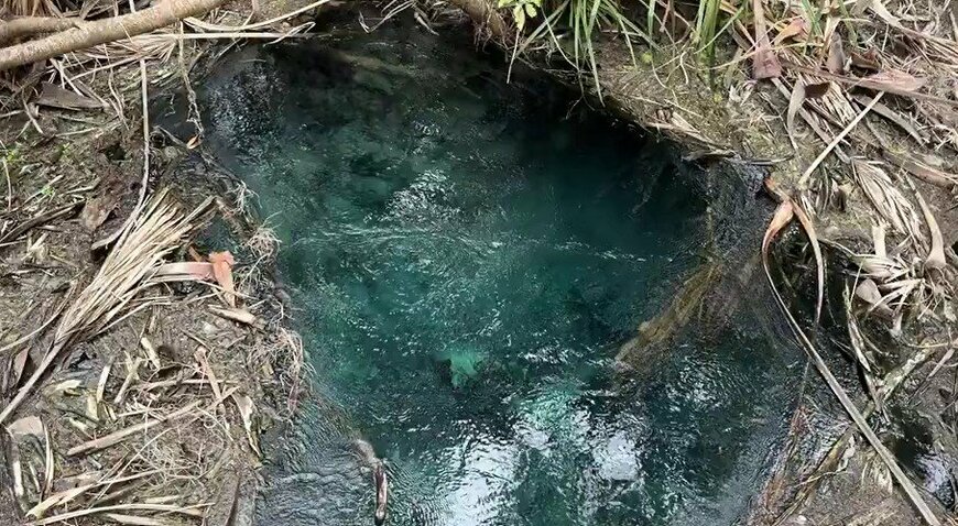 出所：@GingaCrocodylus