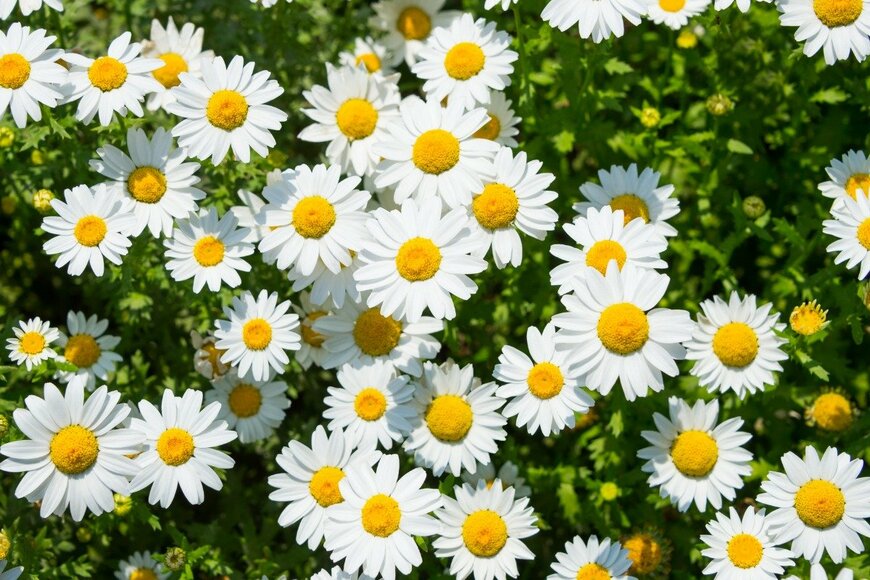 Kazzpix/istockphoto.com