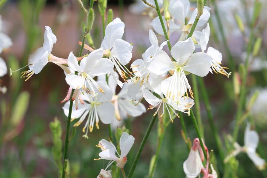 Alex Manders/shutterstock.com